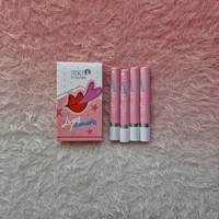Lip Smoke x4