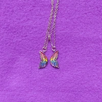Mariposa Arcoíris