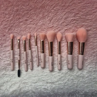 Kit Brocha Mini Rosado x10